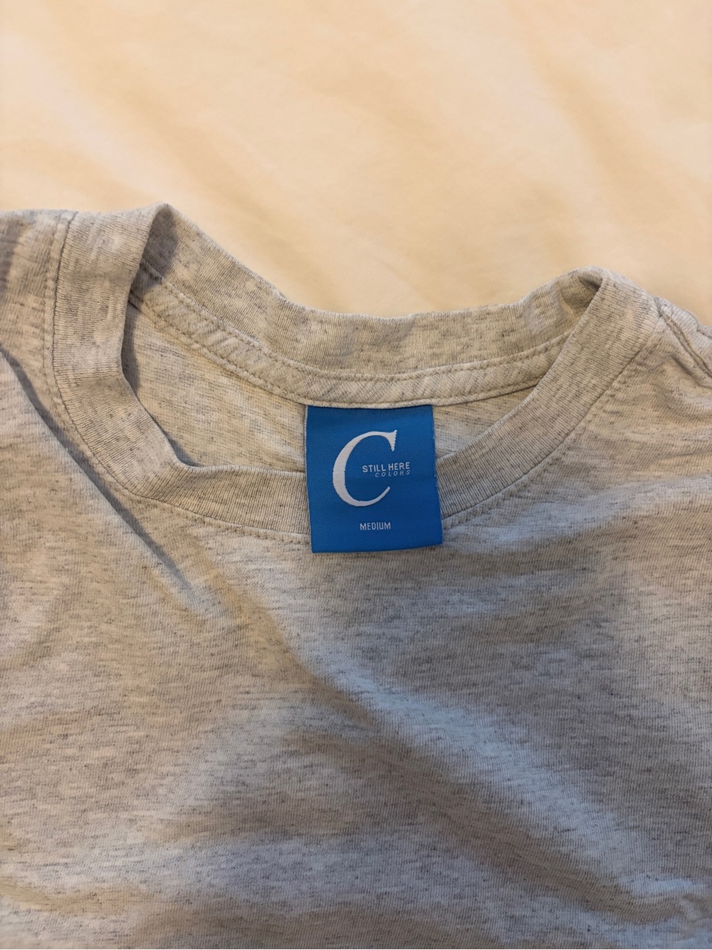 Still Here The Shirt — Grey - Picture 8 of 9